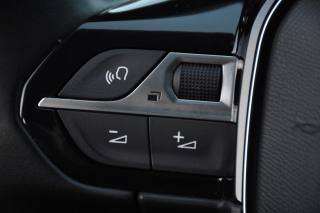 PEUGEOT 3008 usata, con Volante in pelle