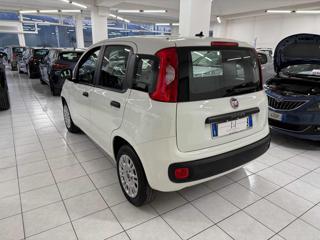 FIAT Panda usata, con Chiusura centralizzata