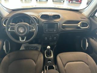 JEEP Renegade usata, con Cruise Control
