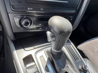 AUDI A4 allroad usata, con Cerchi in lega
