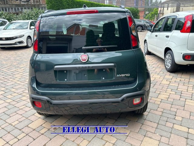 FIAT Pandina Cross usata, con Climatizzatore