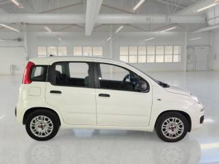 FIAT Panda usata, con Airbag laterali