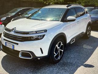CITROEN C5 Aircross BlueHDi 130 S&S EAT8 Shine