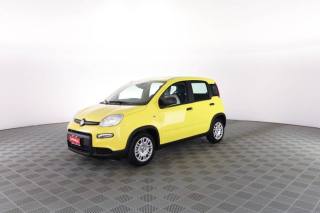 FIAT Panda usata 6