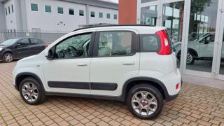 FIAT Panda usata, con Volante multifunzione