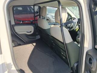 FIAT Panda usata, con Fendinebbia