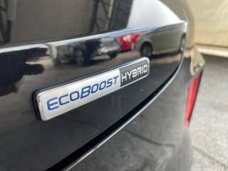 FORD Puma usata, con Bracciolo