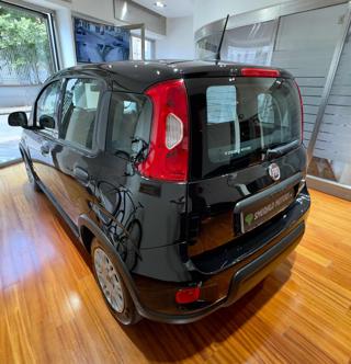FIAT Panda usata, con Cronologia tagliandi