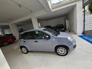 FIAT Panda usata, con Antifurto