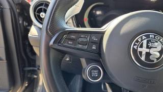 ALFA ROMEO Tonale usata, con Park Distance Control