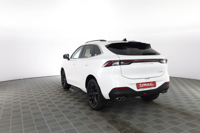 FORTHING T5 Evo usata 4