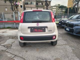 FIAT Panda usata, con Alzacristalli elettrici