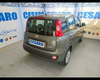 FIAT New Panda usata, con Airbag Passeggero