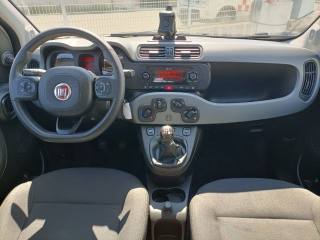 FIAT Panda usata, con Immobilizzatore elettronico
