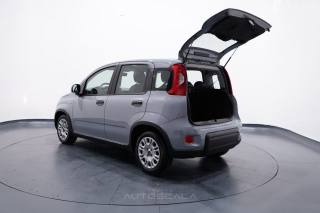 FIAT New Panda usata 29