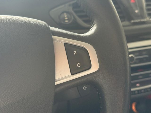 RENAULT Scenic usata, con Fendinebbia