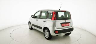 FIAT Panda usata, con Alzacristalli elettrici