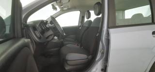 FIAT Panda usata 13