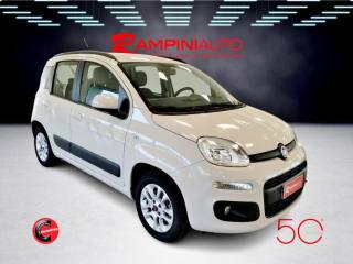 FIAT Panda usata 4