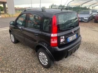 FIAT Panda usata, con Airbag laterali