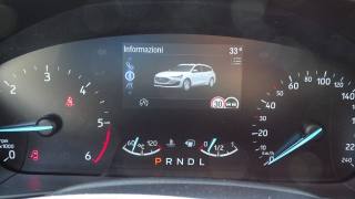 FORD Focus usata 88