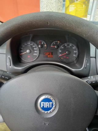 FIAT Punto usata 4