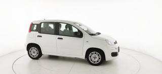 FIAT Panda usata 20