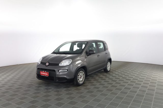 FIAT Panda usata 0