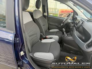 FIAT Panda usata, con Controllo trazione