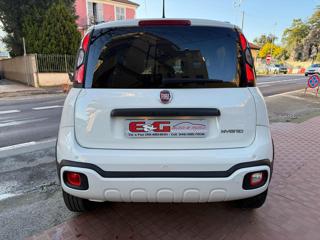 FIAT Panda Cross usata, con Chiusura centralizzata