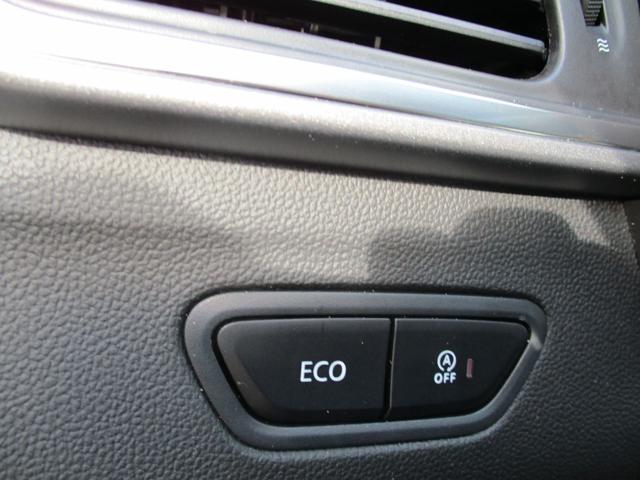 RENAULT Kadjar usata 22