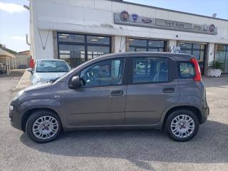 FIAT Panda usata, con Antifurto
