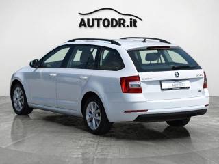 SKODA Octavia usata, con Servosterzo
