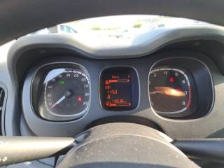 FIAT Panda usata, con Controllo trazione