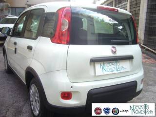 FIAT Panda usata, con Volante multifunzione