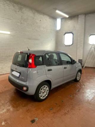 FIAT Panda usata, con Airbag testa