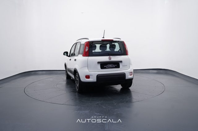 FIAT New Panda usata, con Alzacristalli elettrici