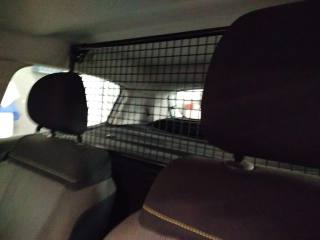 RENAULT Clio usata, con Sensore di pioggia