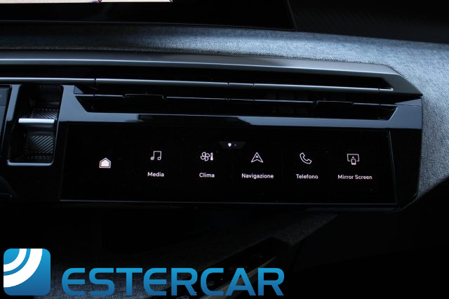 PEUGEOT 3008 usata, con Immobilizzatore elettronico