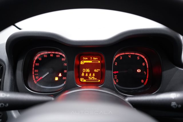 FIAT New Panda usata 11