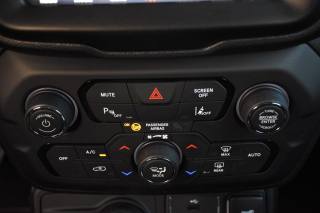 JEEP Renegade usata, con Volante in pelle