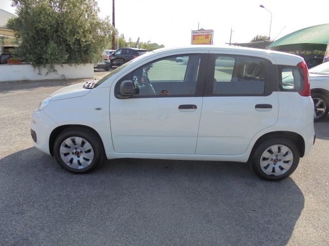 FIAT Panda usata 6