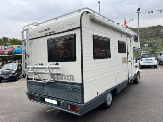 FIAT Ducato usata 3