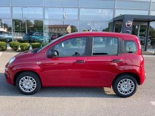 FIAT Panda usata, con Alzacristalli elettrici