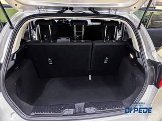 FORD Fiesta usata, con ESP
