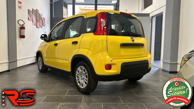 FIAT Panda usata, con Hill holder