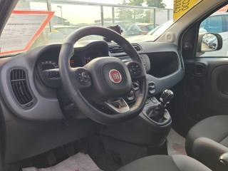 FIAT Panda usata, con Servosterzo