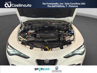 ALFA ROMEO Stelvio usata, con Interni in pelle