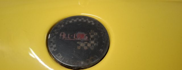 VOLKSWAGEN Buggy usata 9