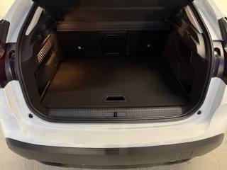 CITROEN C4 usata, con Sospensioni pneumatiche